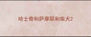 哈士奇和萨摩耶和柴犬