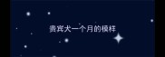 贵宾犬一个月的模样