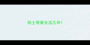 哈士奇最长活几年