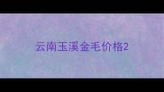 云南玉溪金毛价格