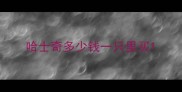 哈士奇多少钱一只里买