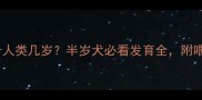拉布拉多1岁大等于人类几岁半岁犬必看发育全附喂养要点附对比图
