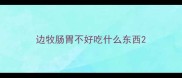 边牧肠胃不好吃什么东西
