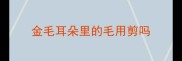 金毛耳朵里的毛用剪吗