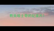 有关哈士奇的纪录片