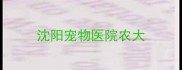 沈阳宠物医院农大