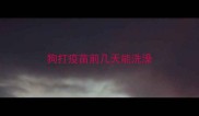 狗打疫苗前几天能洗澡