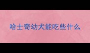 哈士奇幼犬能吃些什么
