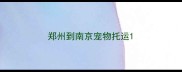 郑州到南京宠物托运