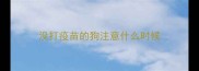 没打疫苗的狗注意什么时候