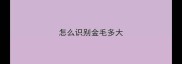怎么识别金毛多大