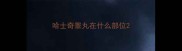哈士奇睾丸在什么部位