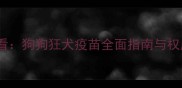 北京养犬必看狗狗狂犬疫苗全面指南与权威接种攻略