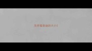 怎样看泰迪的大小