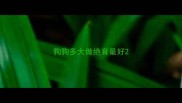 狗狗多大做绝育最好