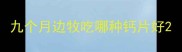 九个月边牧吃哪种钙片好