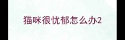 猫咪很忧郁怎么办