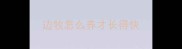 边牧怎么养才长得快