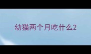幼猫两个月吃什么