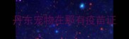 丹东宠物在那有疫苗证