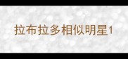 拉布拉多相似明星