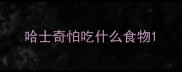 哈士奇怕吃什么食物