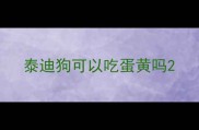 泰迪狗可以吃蛋黄吗
