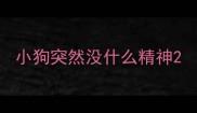 小狗突然没什么精神