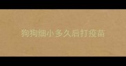狗狗细小多久后打疫苗