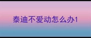 泰迪不爱动怎么办