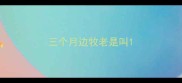 三个月边牧老是叫