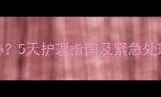 母犬产后高烧怎么办5天护理指南及紧急处理方法附体温表