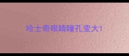哈士奇眼睛瞳孔变大