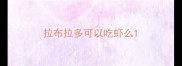 拉布拉多可以吃虾么