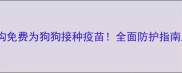 沈阳权威机构免费为狗狗接种疫苗全面防护指南及预约攻略