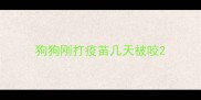 狗狗刚打疫苗几天被咬