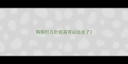 狗狗打几针疫苗可以出去了