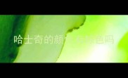 哈士奇的颜色有棕色吗