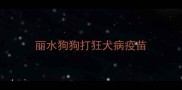 丽水狗狗打狂犬病疫苗