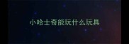 小哈士奇能玩什么玩具