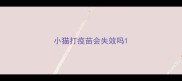 小猫打疫苗会失效吗