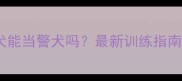 边境牧羊犬能当警犬吗最新训练指南与条件全