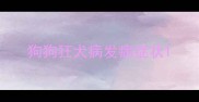 狗狗狂犬病发病症状