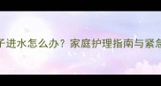 小狗鼻子进水怎么办家庭护理指南与紧急处理全