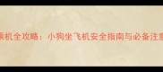 宠物乘机全攻略小狗坐飞机安全指南与必备注意事项
