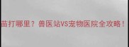 宠物疫苗打哪里兽医站VS宠物医院全攻略新手必看