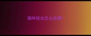 猫咪驱虫怎么收费