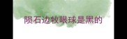 陨石边牧眼球是黑的