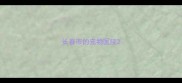 长春市的宠物医院