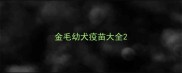 金毛幼犬疫苗大全